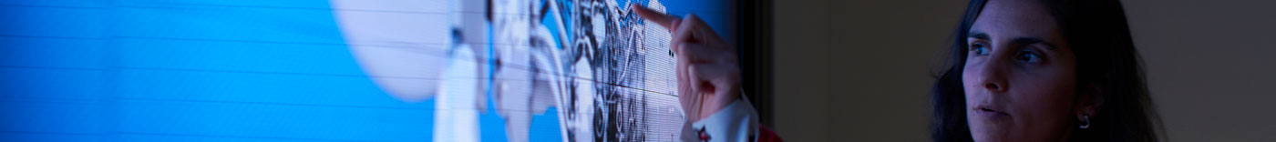 Bild zu IT Internal Audit Manager